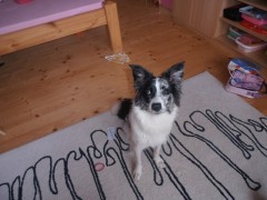 Cassey