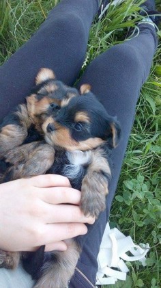 Julinka