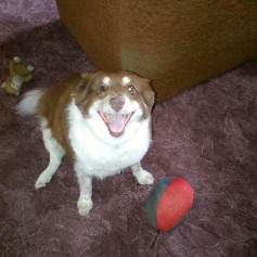 Jenny