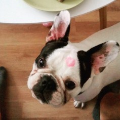 Chloe