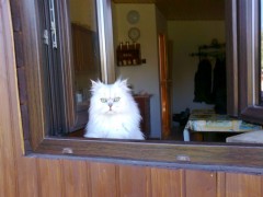 Filip