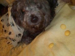 Berta