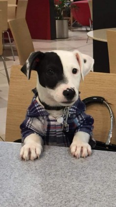 Monty