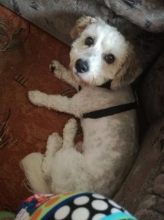 Max