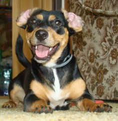 Kessy