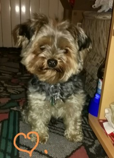 Monty