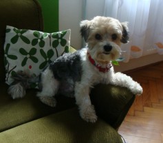 Tex