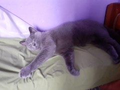 Elizabeth