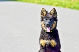 Annie