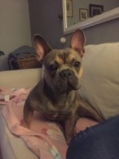 Hugo