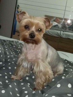 Betynka