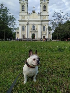 Roxy