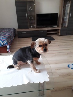 Eliška 