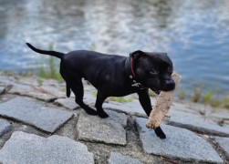 Meggie 