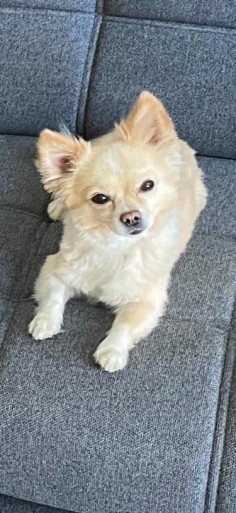 Monty 
