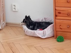 Niki