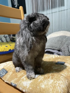 Barnabáš
