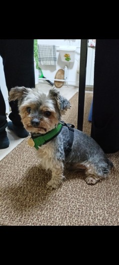 Monty