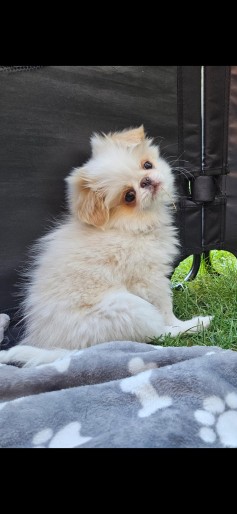 Naya a Bella