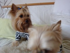 Monty